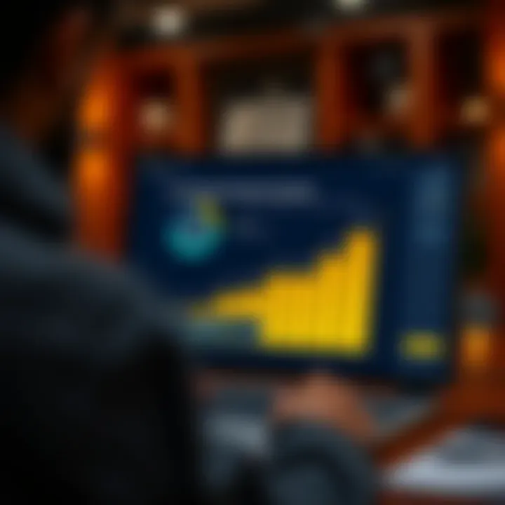 Loan Repayment Simulator Interface Visual representation of a loan repayment simulator interface