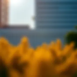 Overview of U Penn Online MBA program structure