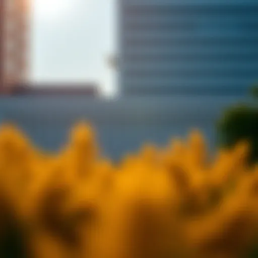 Program Structure of U Penn Online MBA Overview of U Penn Online MBA program structure