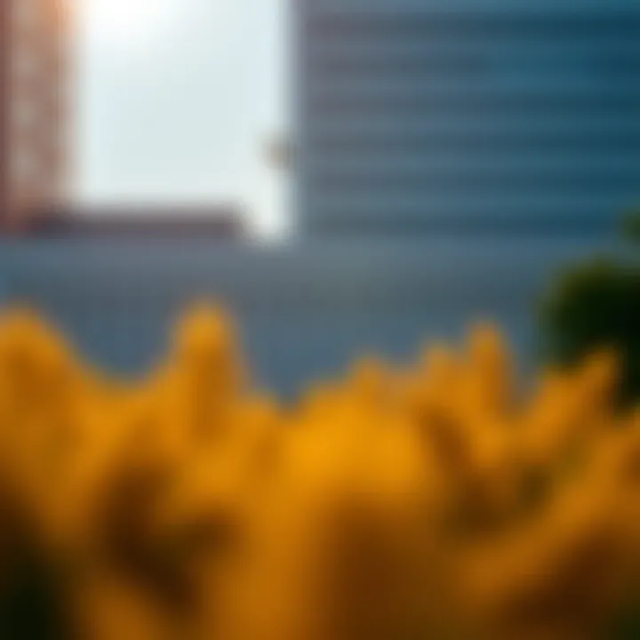 Program Structure of U Penn Online MBA Overview of U Penn Online MBA program structure