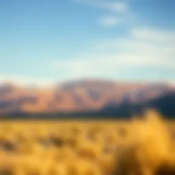 Scenic view of Nevada landscape with business elements
