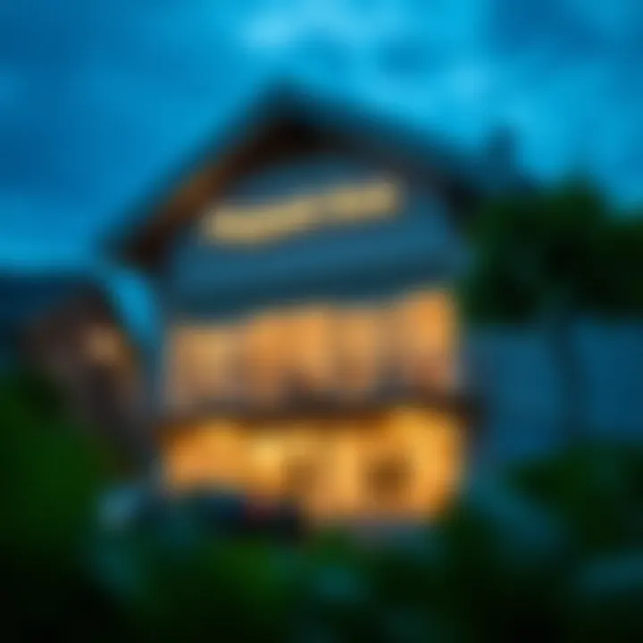 Repayment Strategies for PayPal Financing Visual representation of repayment strategies